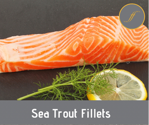 Sea Trout Fillets